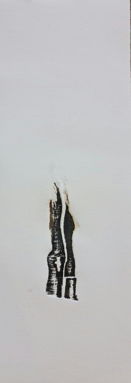 Untitled, 0