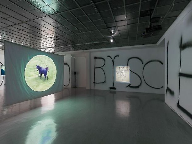Two-Headed Horse, installation view