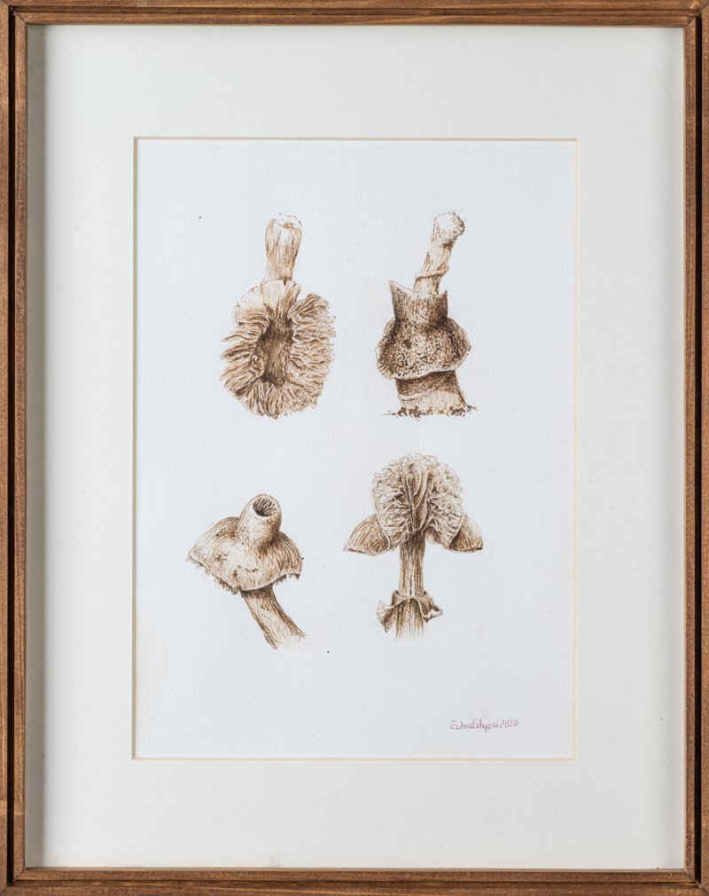 Zahra Ghyasi, Radioactive Mushrooms, 2020