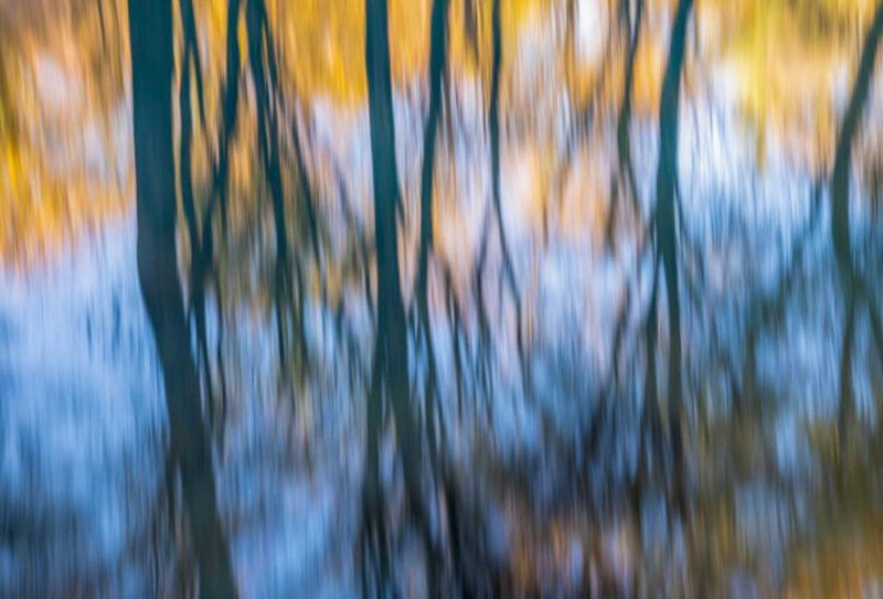 Sadegh Miri, Untitled, 0