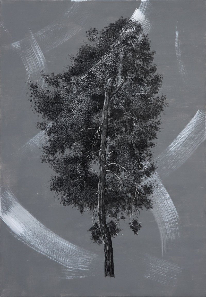Ali Ghorbanian, Untitled, -1