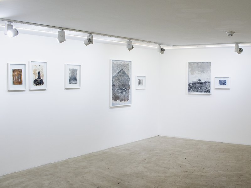 Cognations, Relations, installation view