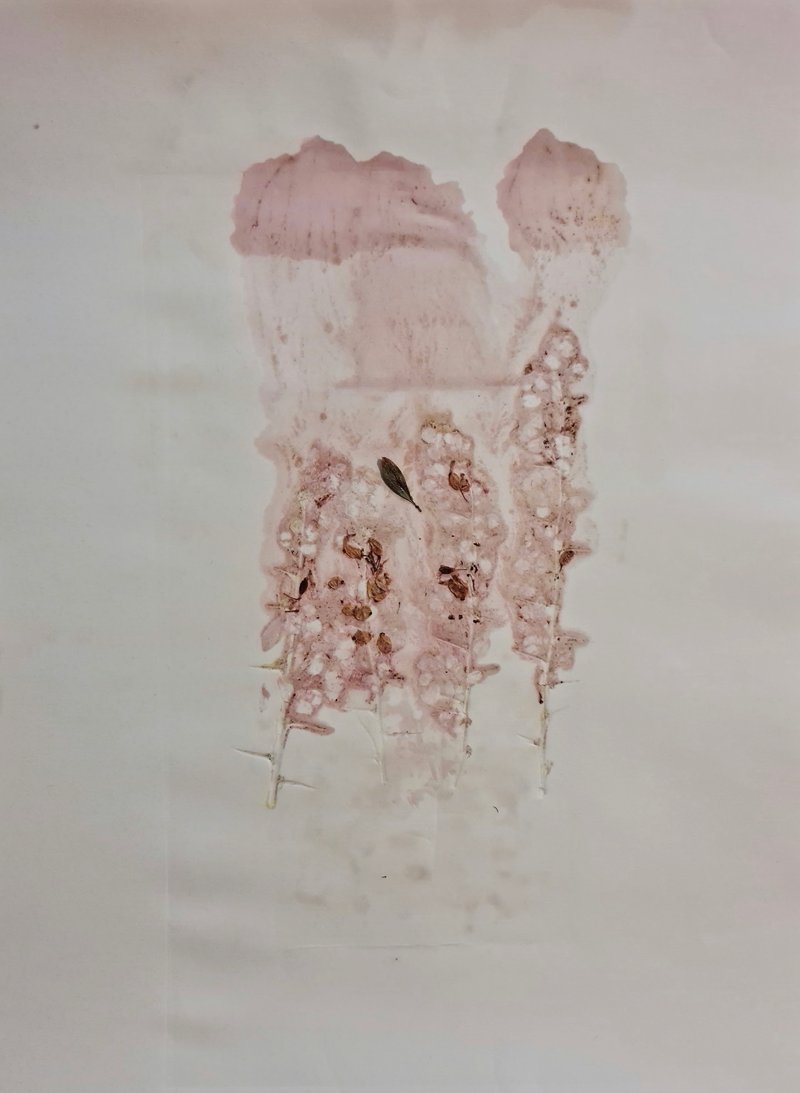 Untitled, 0