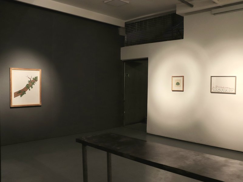 The Whispering Green, installation view