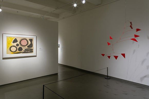 Installation view.