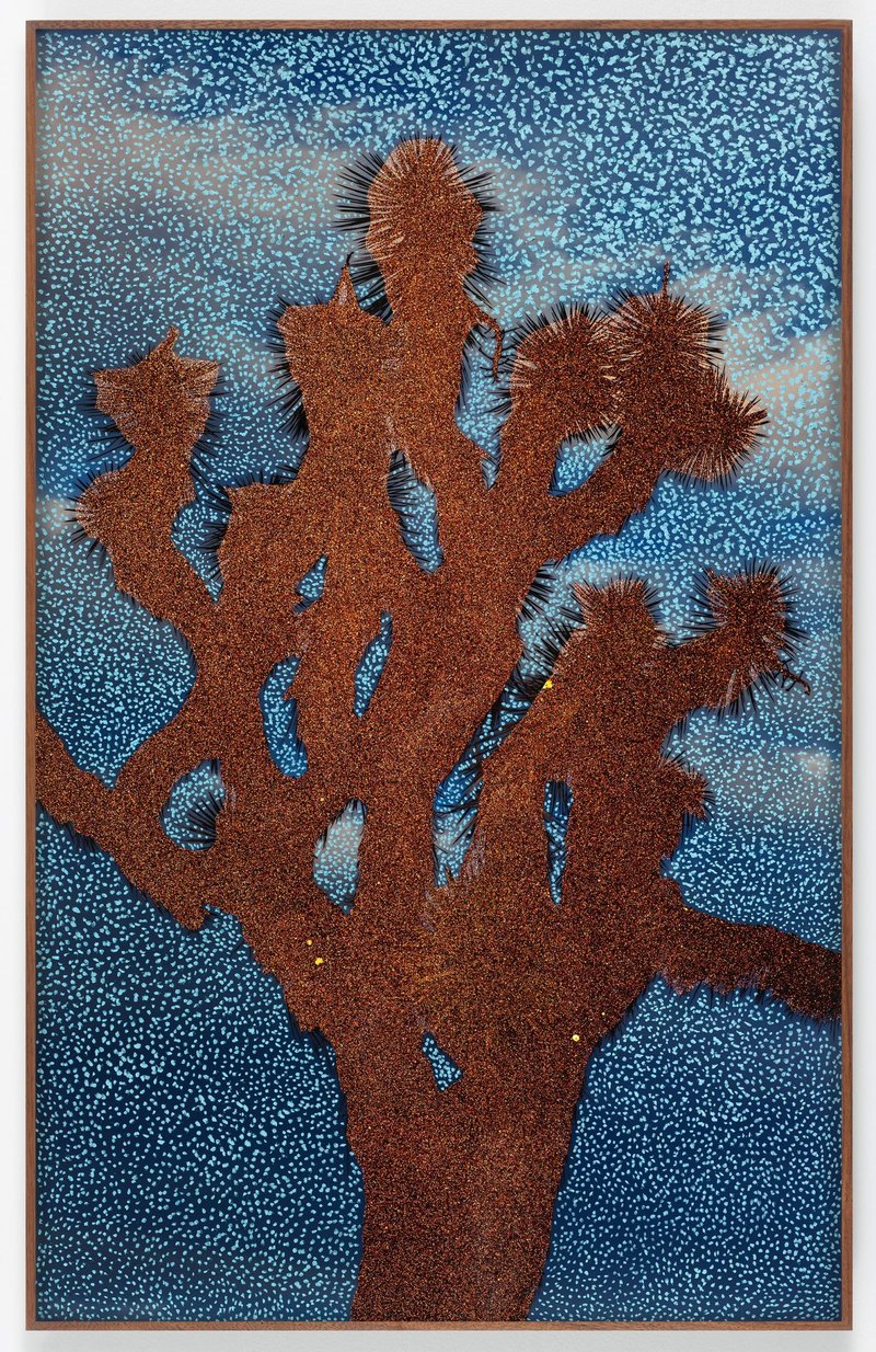 Evan Whale, The Cosmic Joshua, 2019
