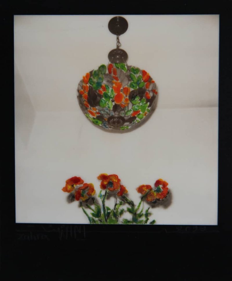 Zahra Iranisefat, Untitled, 0