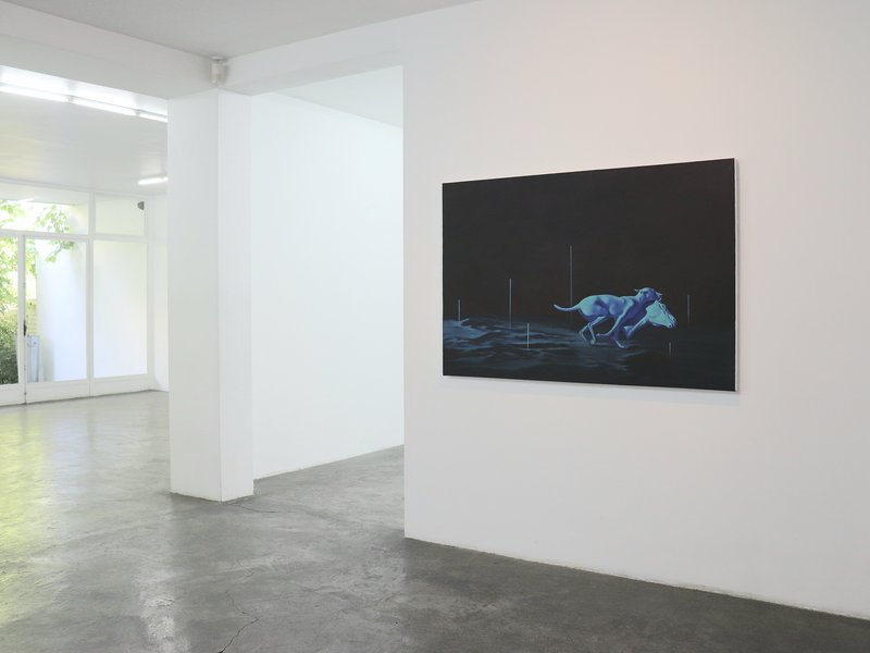 Dark Day, installation view
