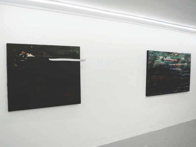Neurovironment, installation view