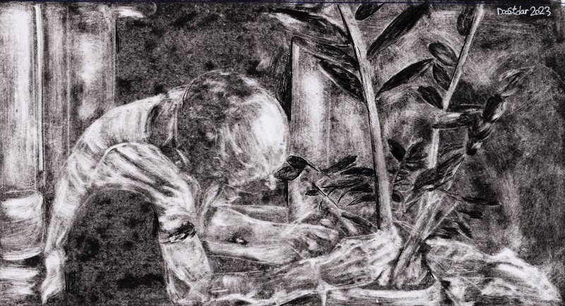 Haniyeh Doostdar, Untitled, 2023