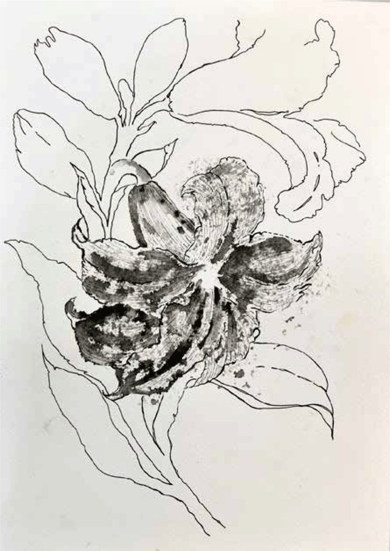 Shirin Karami Mofrad, Untitled, 2024
