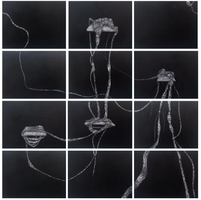 Reyhaneh Afzalian, Untitled, 2019