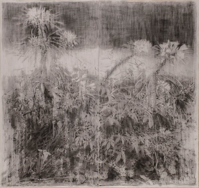 Mina Ghaziani, The Washed Light, 2021