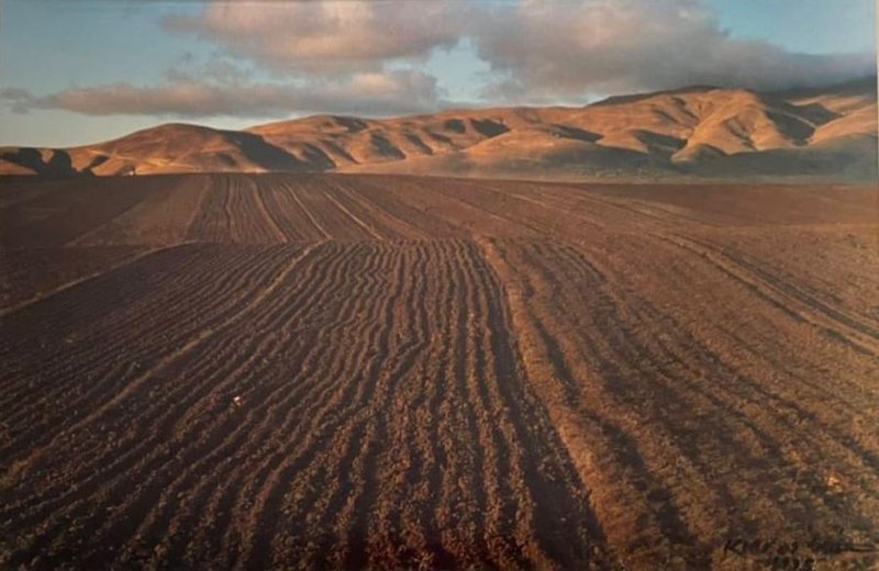 Abbas Kiarostami, Untitled, 1995