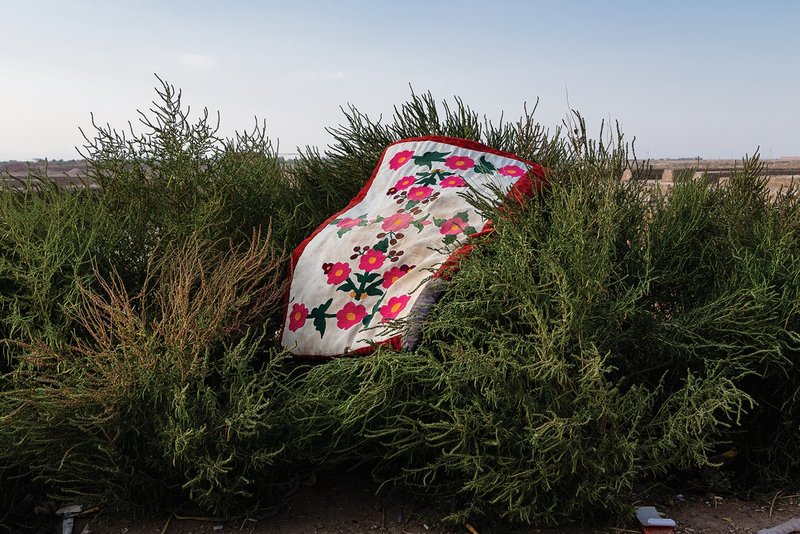 Mozhgan Asadi, Qazvin Province, Shal Village, 2018