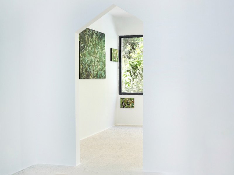 Shaped, installation view