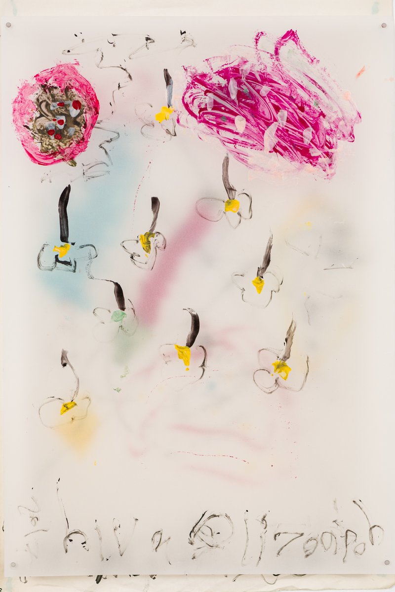 Hiva Alizadeh, Untitled, 2017