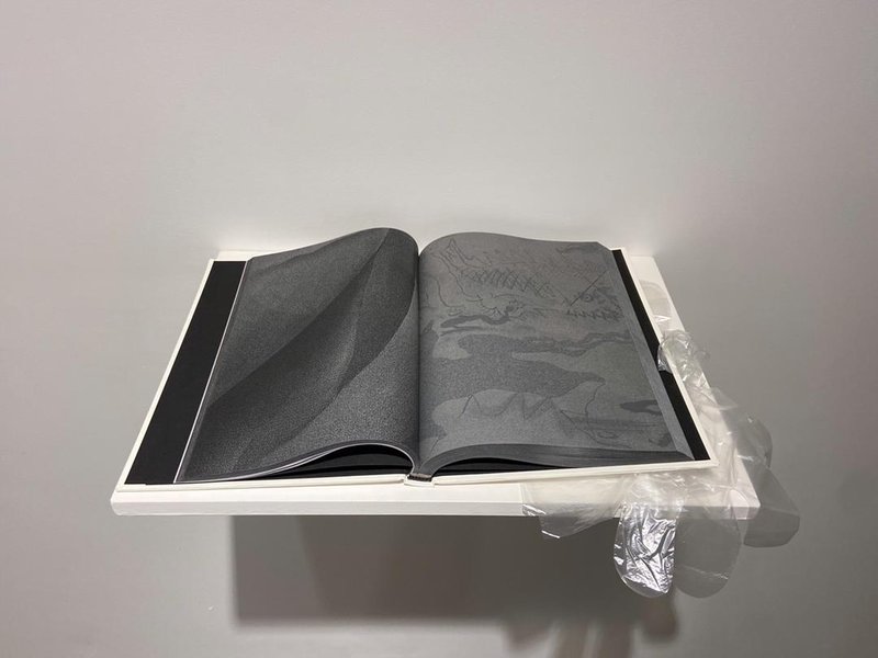 Sight and Insight, installation view