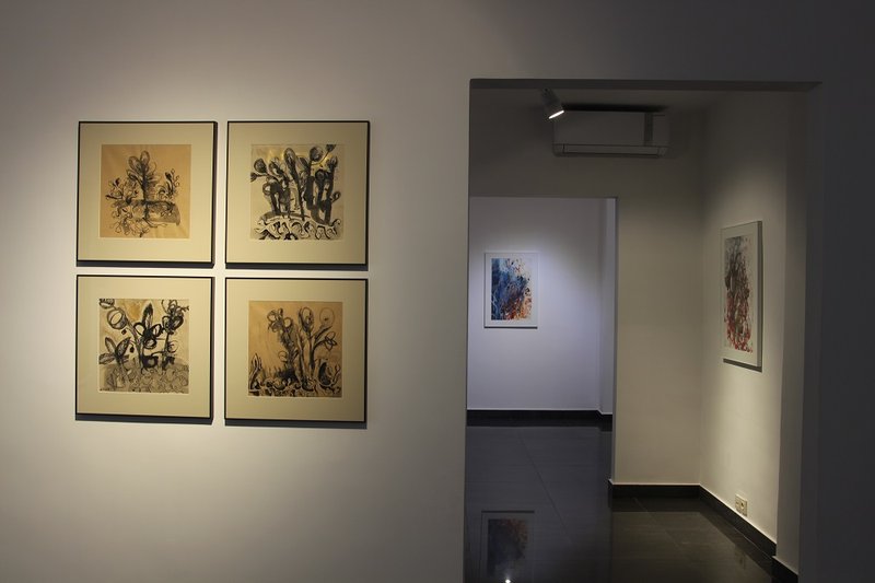 سپید هنگام روییدن، نمای چیدمان