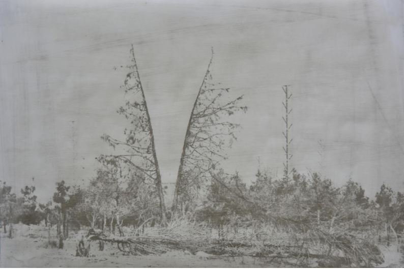 Babak Kazemi, Untitled, 2019