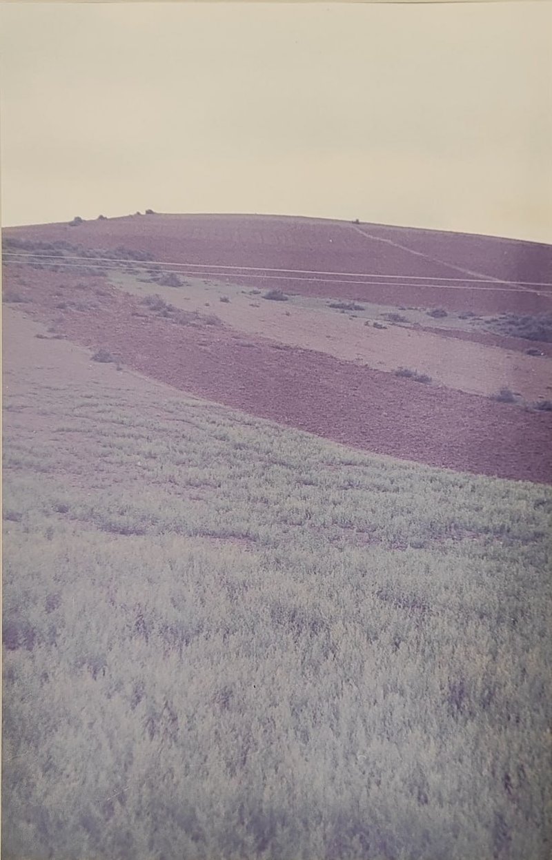 عباس کیارستمی، بدون عنوان، 1367