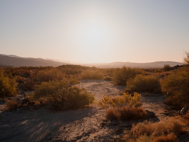 Desert X 2023