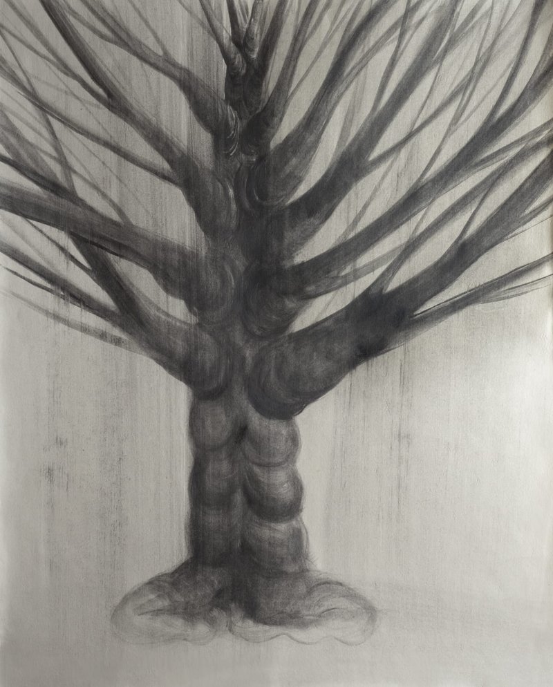 Seyed Amin Bagheri, Untitled, 2021