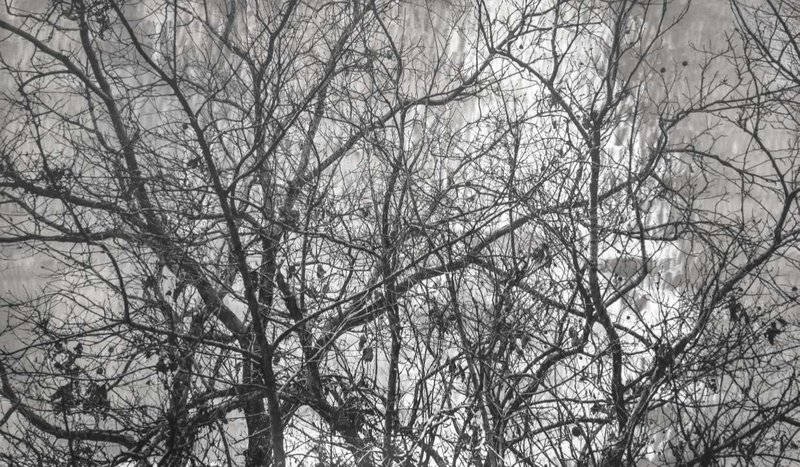Omid Mehdizadeh, Untitled, 2022