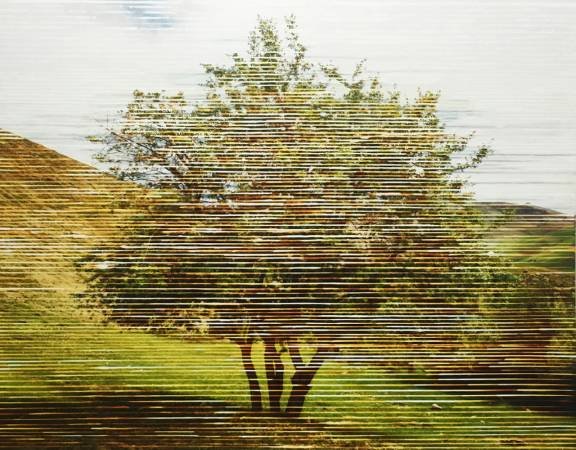Neda Zarfsaz, Untitled, 2018