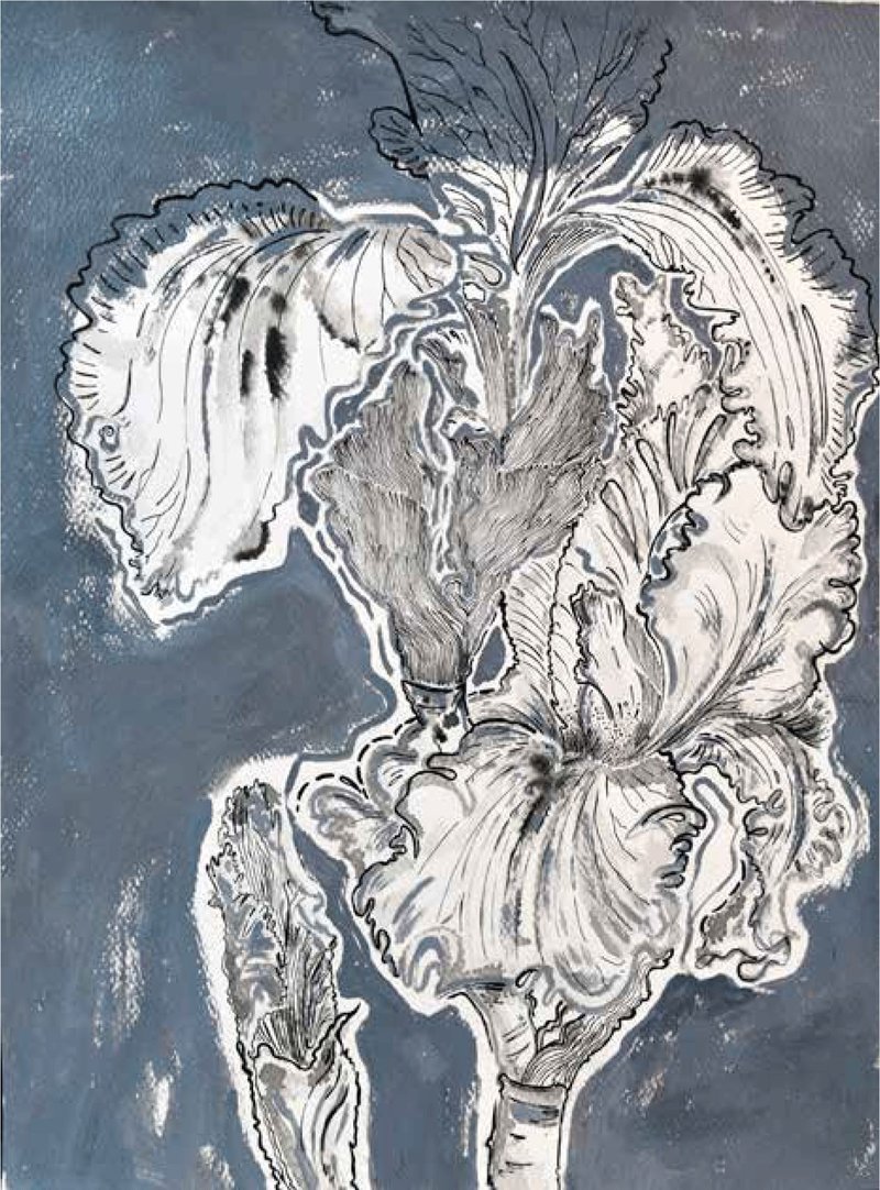Shirin Karami Mofrad, Untitled, 2024