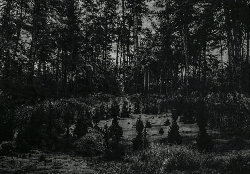 Omid Mehdizadeh, Untitled, 2021