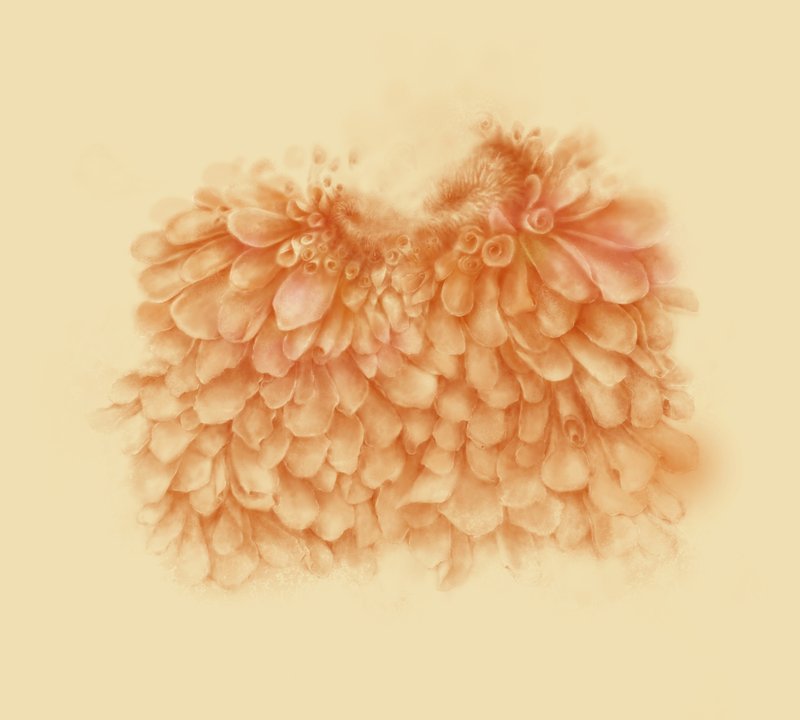 Reihaneh Mahdavi, Untitled, 0