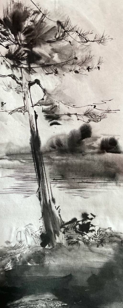 Sara Kaveh, Untitled, 0