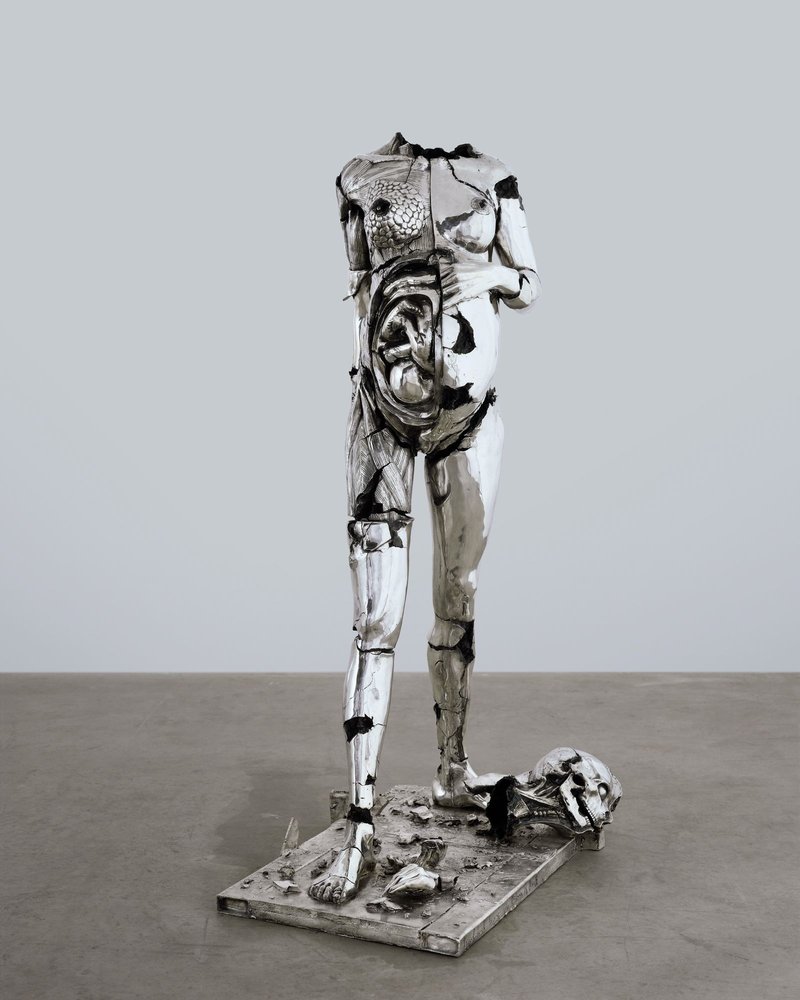 Damien Hirst, Wretched War – The Dream Is Dead, 2007
