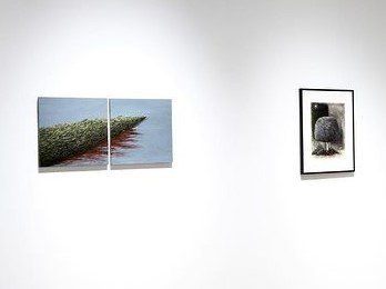 A Posteriori, installation view