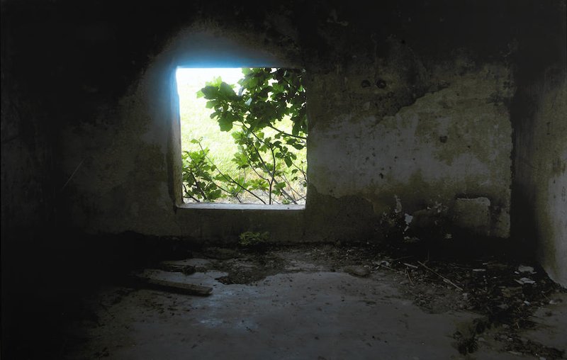 Abbas Kiarostami,  Window Through the Life, 2007