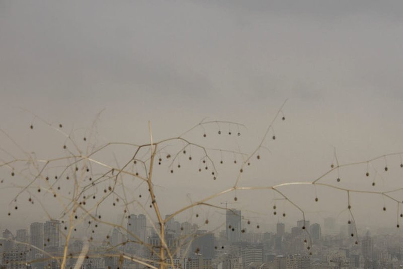 رسا هزارخانی، بدون عنوان، 1396