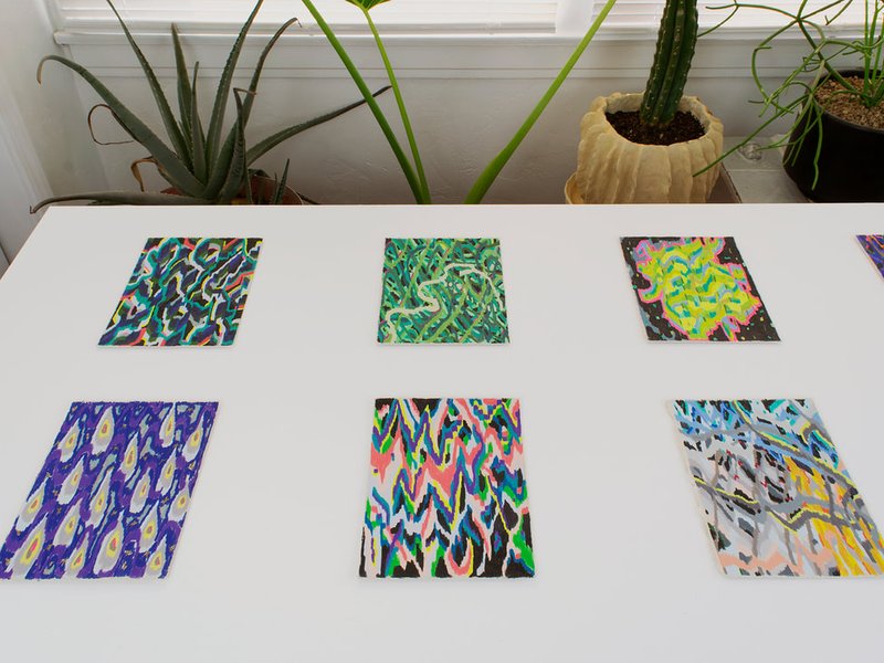 Thing with Feathers, installation view