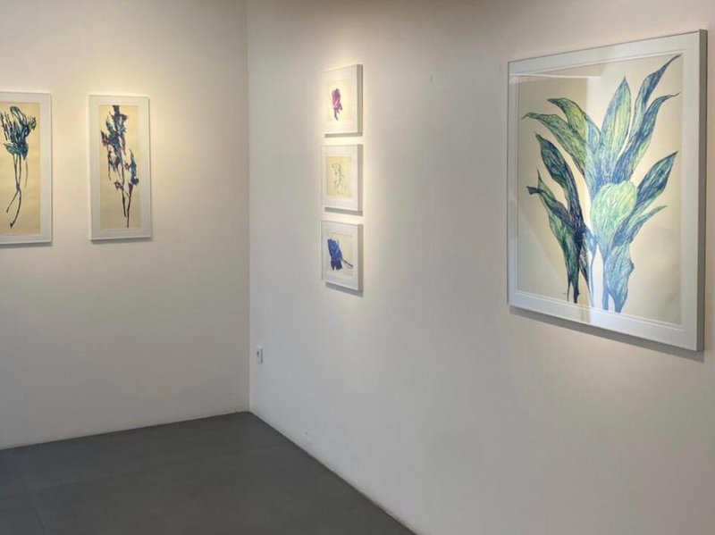 Leaflessness, installation view