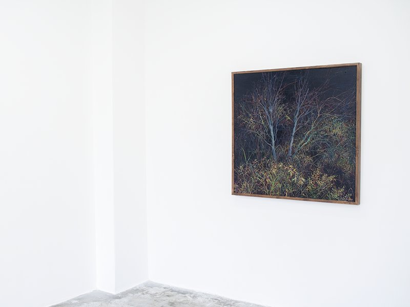 Shazdeh’s Garden, installation view