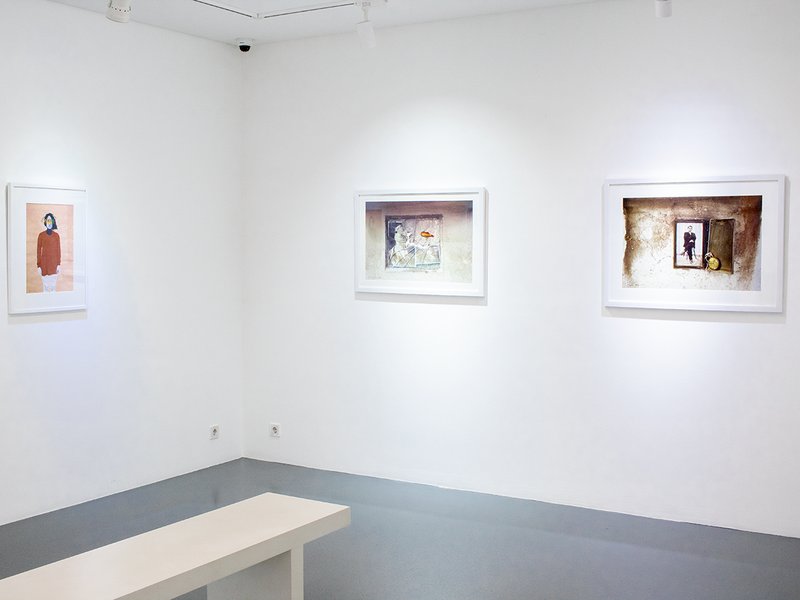 Roots from the Sky, installation view