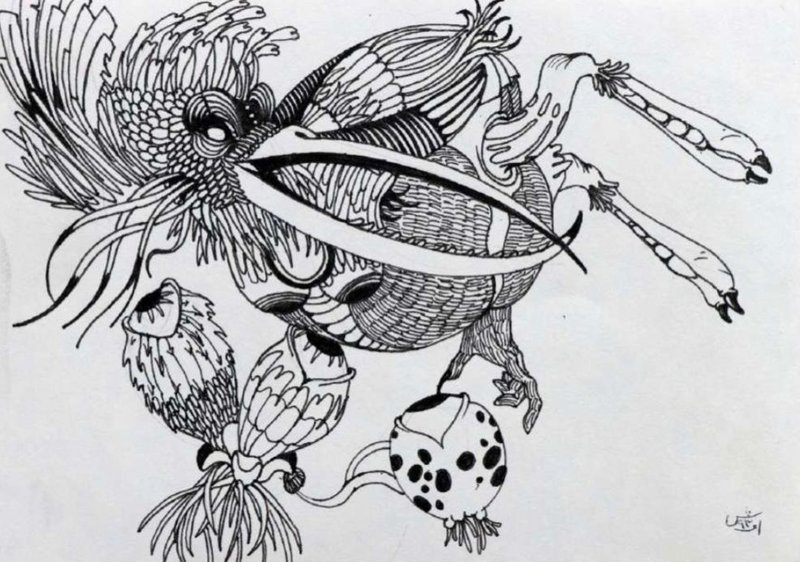 Afshin Bagheri, Untitled, 0
