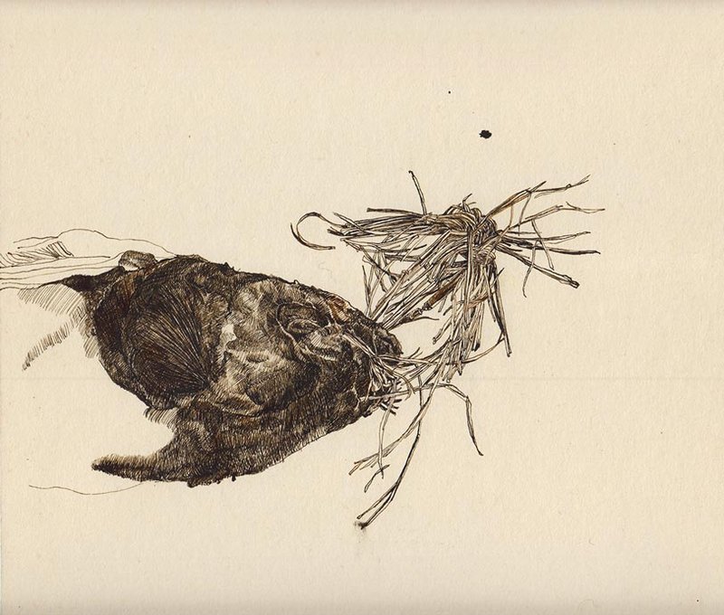 Samaneh Motallebi, Untitled, 2018