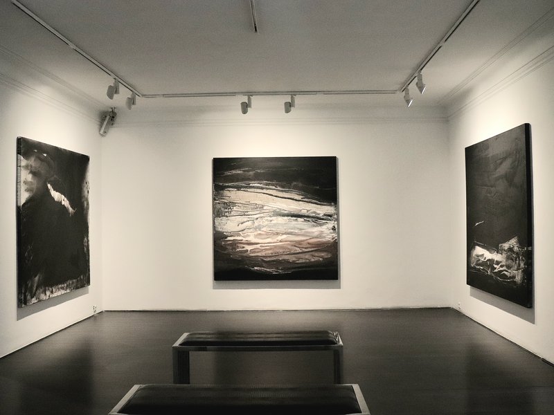 Vein, installation view