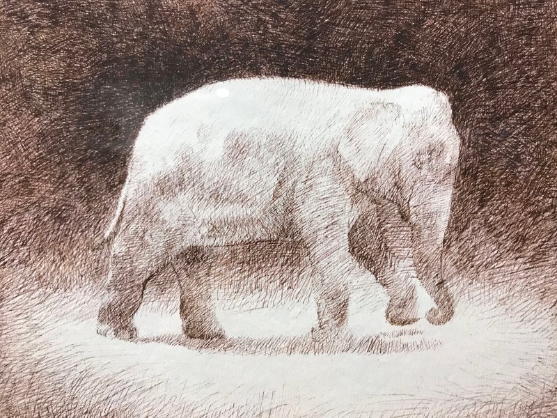 Mirmohamad Fatahi, Untitled, 2017