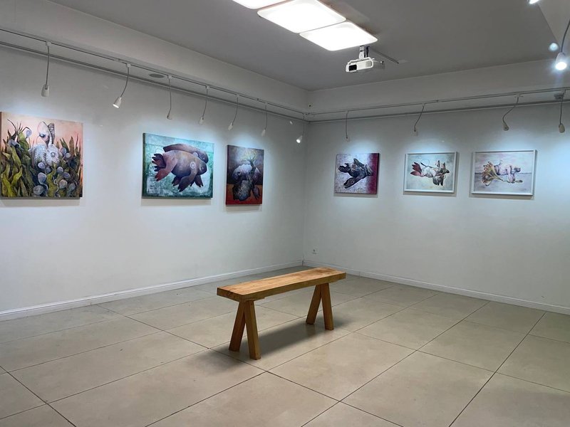 آبی دوزیست، نمای چیدمان