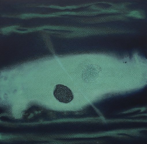 Shirazeh Houshiary, Dew, 2024