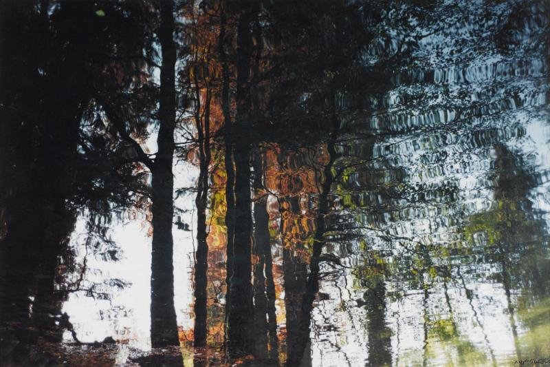 Abbas Kiarostami, Reflection on the Water, 2000