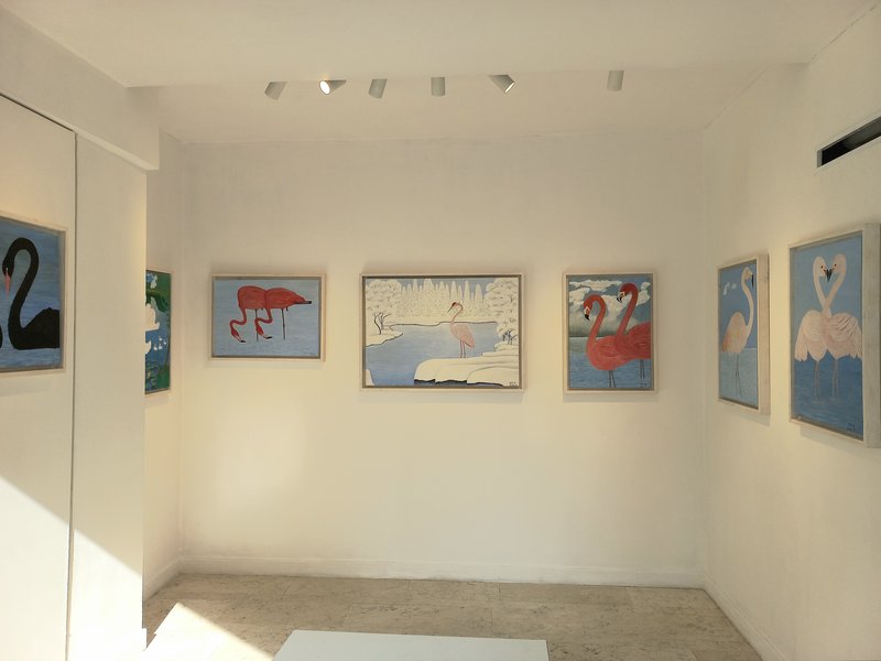 پرندگان، نمای چیدمان