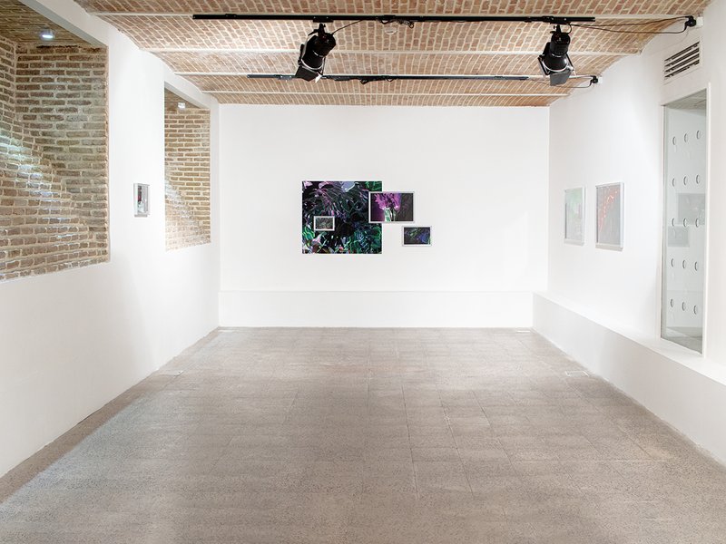 Dis-Orientation, installation view